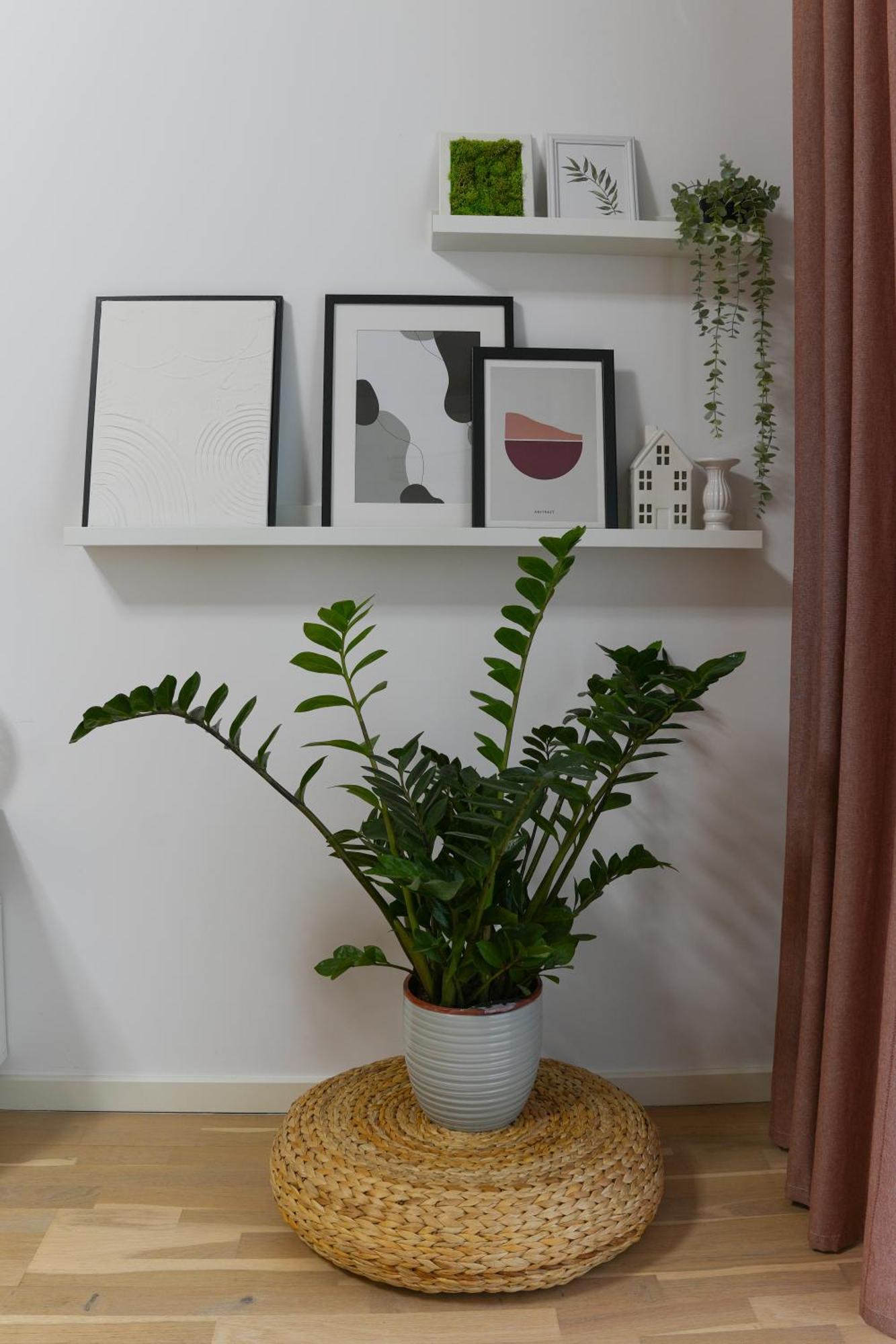 Amalia - Quiet 1Br Apartment With Parking & Wi-Fi Bucharest Exterior photo